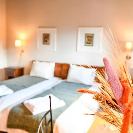 Pensiunea Cornelia Guest house *