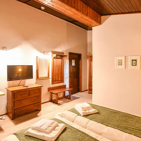 Pensiunea Cornelia Guest house